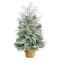 2ft. Pre-Lit Winter Frosted Artificial Christmas Tree in Burlap Base, Warm White LED Lights